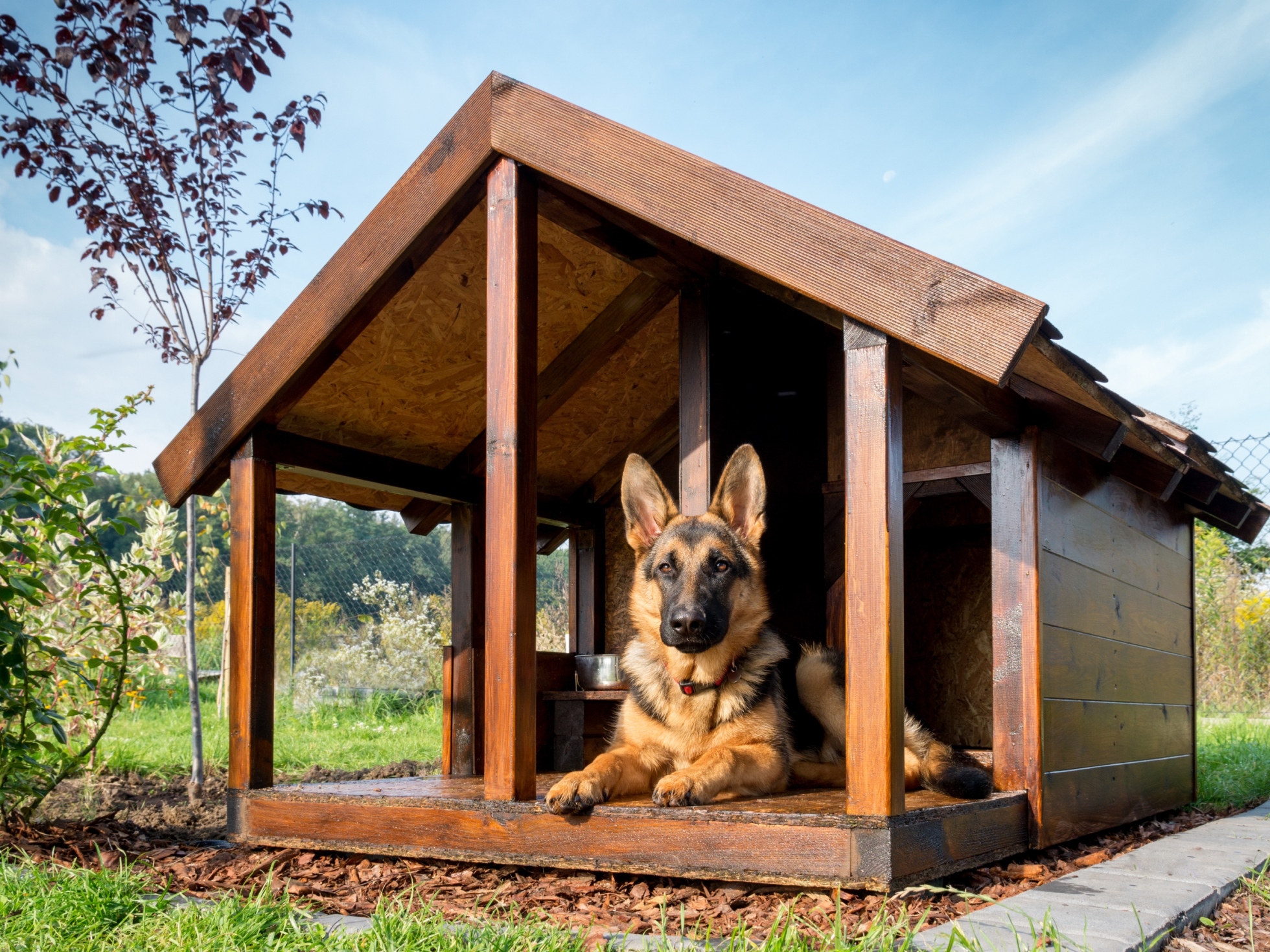 DIY dog kennel building tips - Dogslife. Dog Breeds Magazine