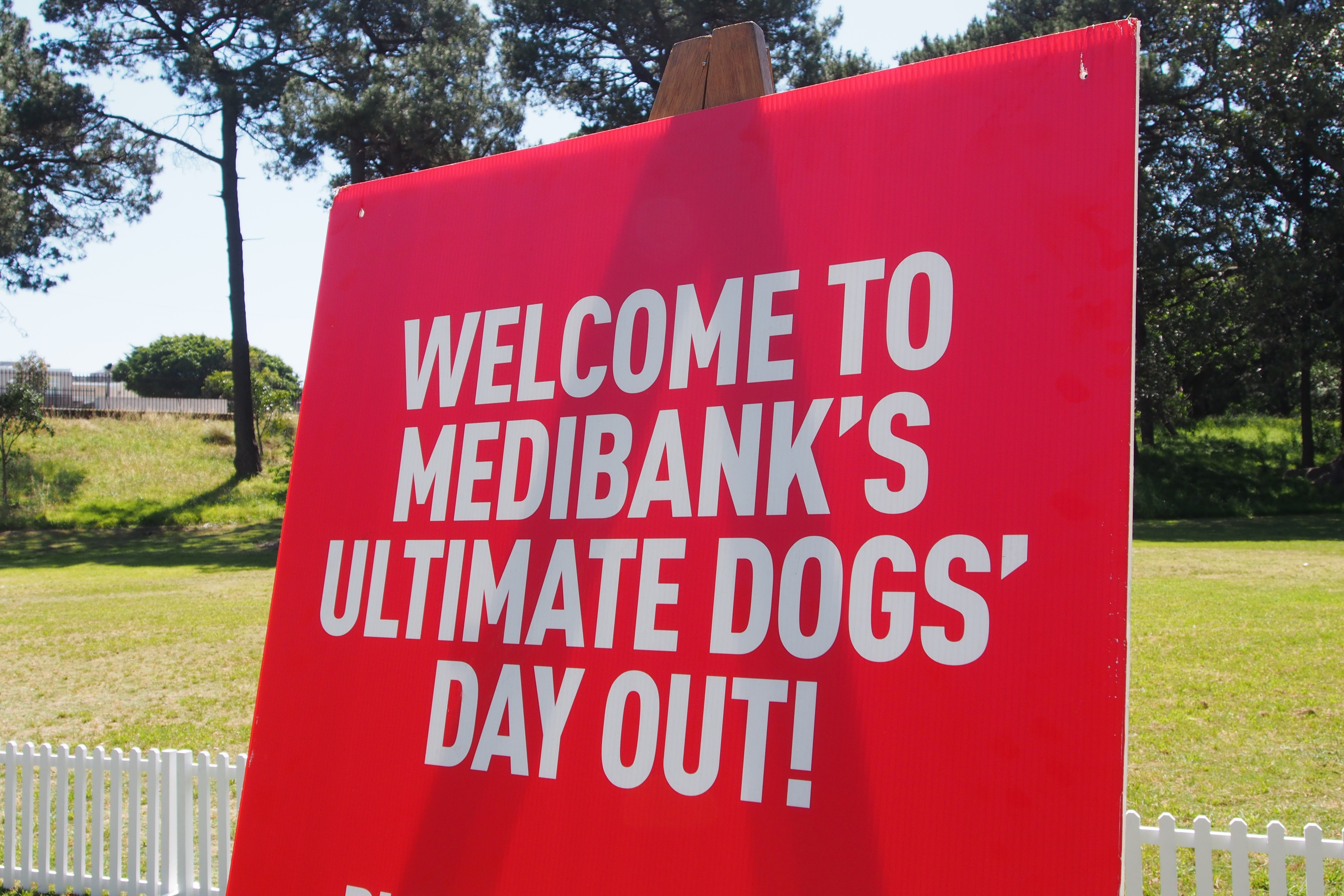 Medibank Dogs' Day Out - Centennial Park