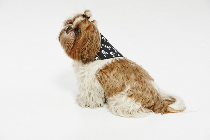 BOOTIQUE SKULL & CROSSBONES DOG BANDANA – $8.88