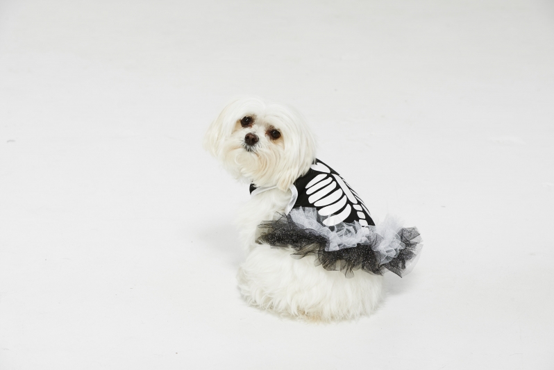 Petbarn Bootique Heart SkeletonTutu Dog Dress Black RRP $19.96 - $21.99