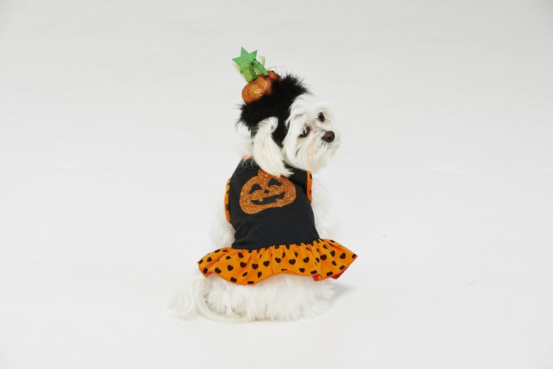 Petbarn Bootique Pumpkin Dog Dress RRP$14.98-$15.92 Petbarn Glitter Pumpkin Dog Headpiece RRP$9.98