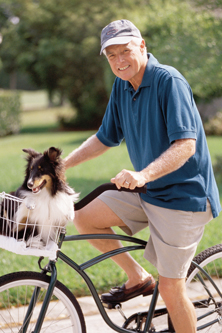 Travelling-With-Pets