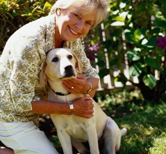 50-years-of-dog-ownership