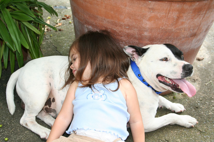Developing The Right Relationship With Your Dog