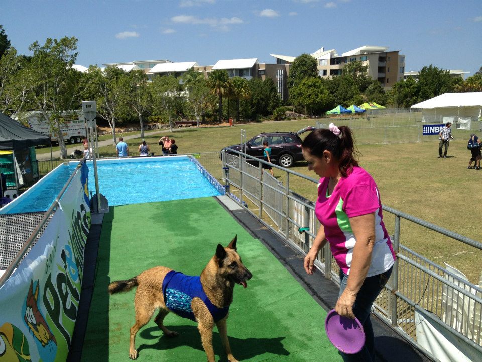 https://www.dogslife.com.au/wp-content/uploads/2013/06/Best-dog-sports.jpg