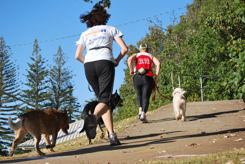 getting fit with dogs