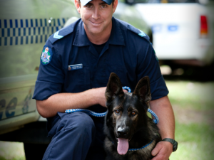 police dog hero