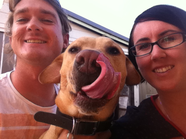 Love barks