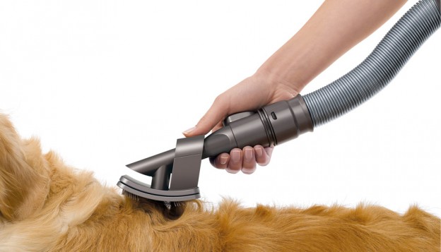 diy dog grooming