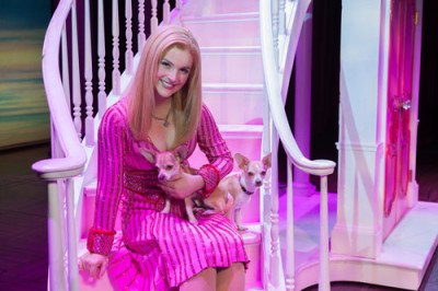 celebrity dog trainer