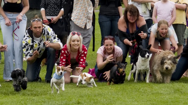 Newtown Dog Show