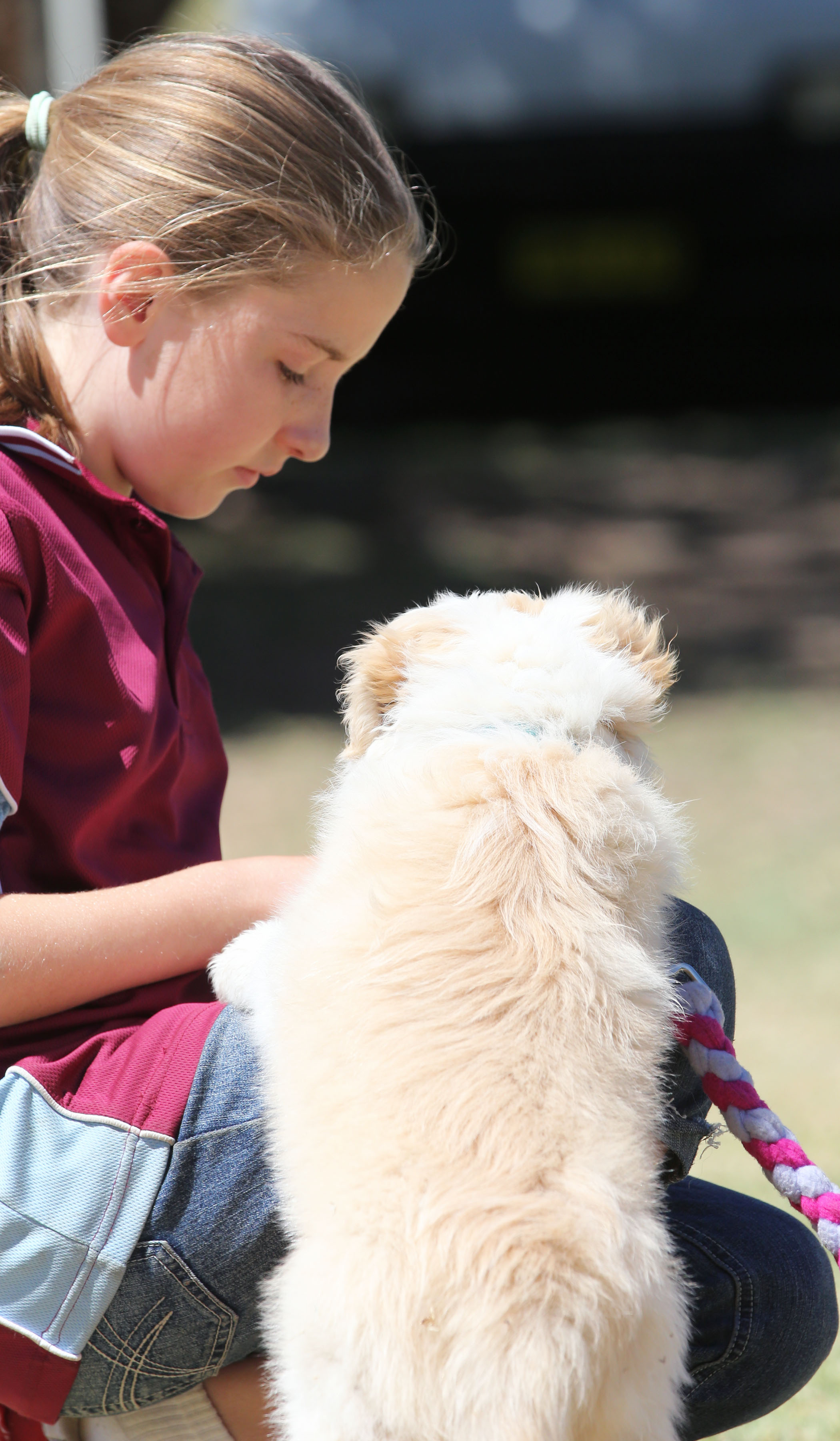 Dogs help fight Autism