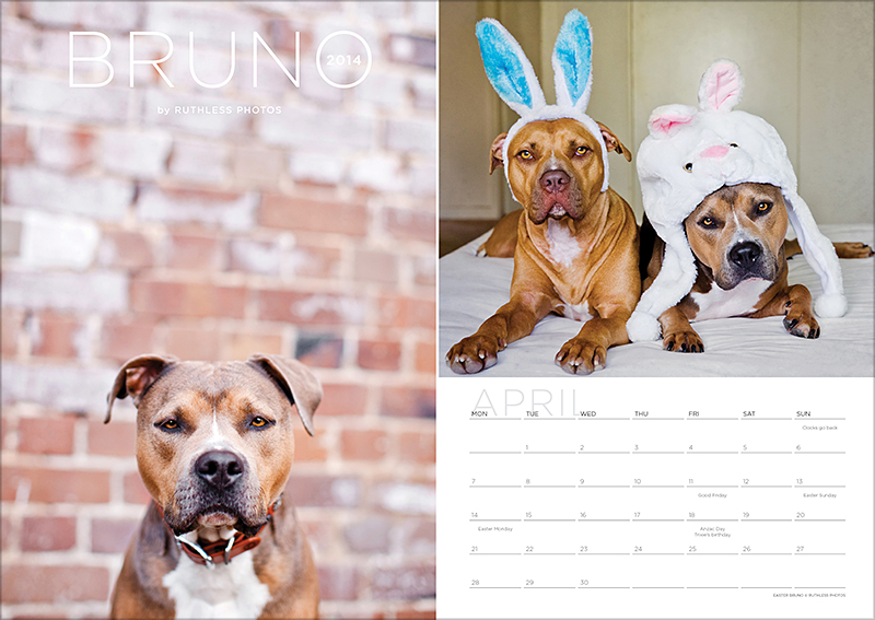 Bruno 2014 Calendar