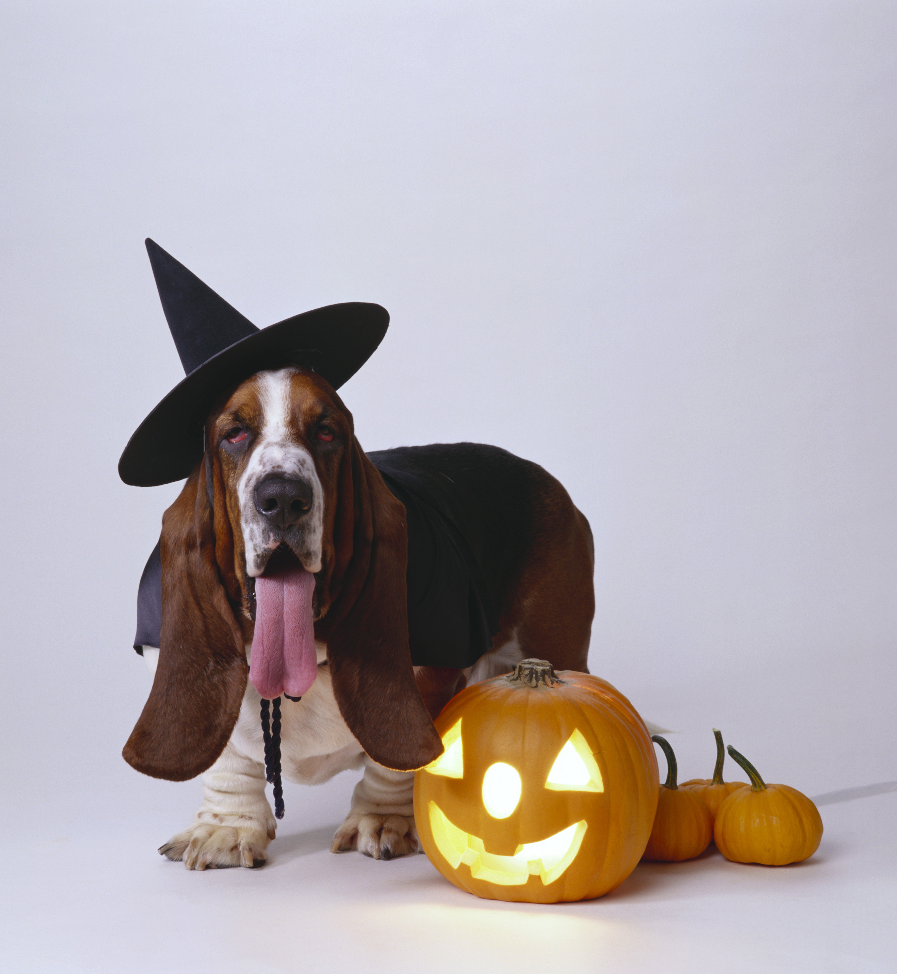 Be safe trick-or-treating this Halloween