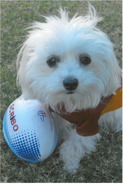 Oscar - Canine Character