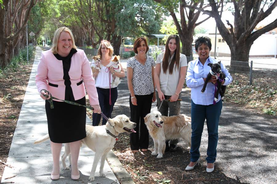 ‘Pawsitive’ steps in the right direction – Paws in the Park
