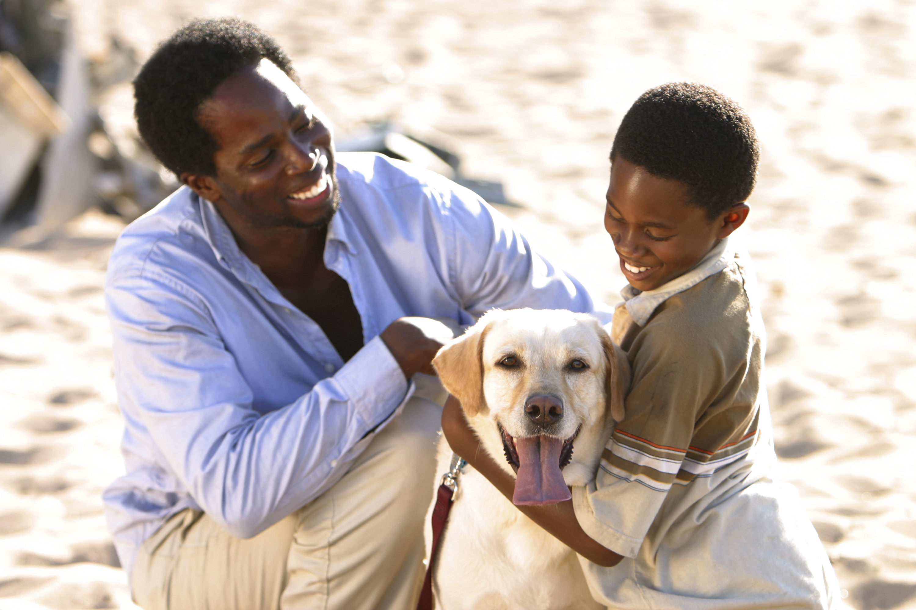 TV dog stars