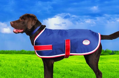 Weatherbeeta Parka Dog Coat