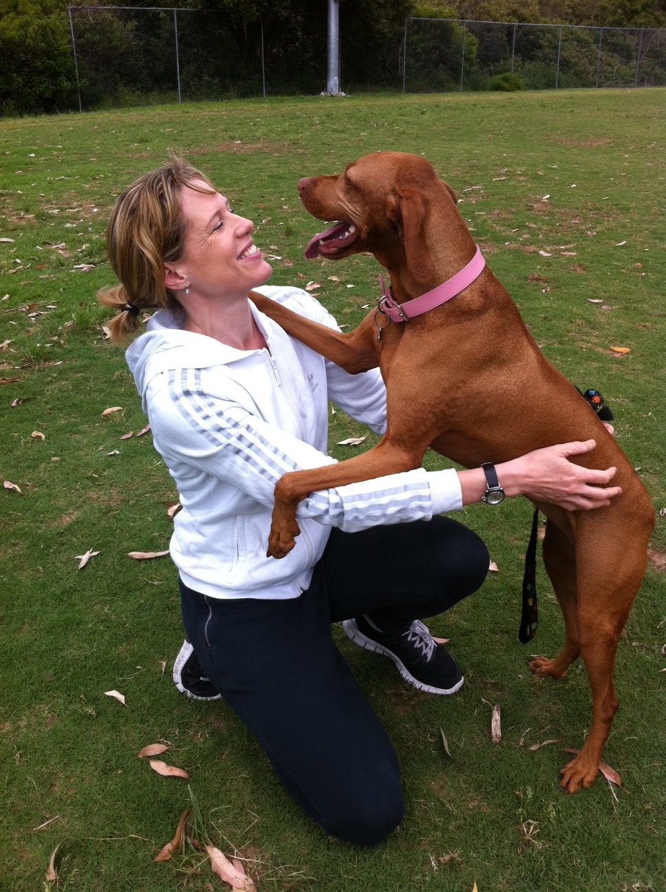 Dogs that love the vet