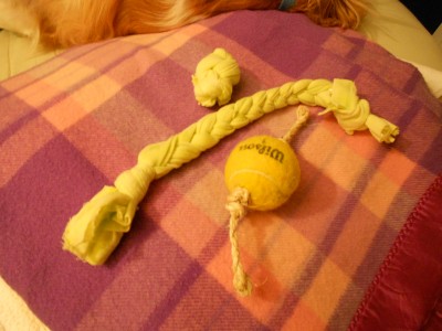DIY Dog Toys
