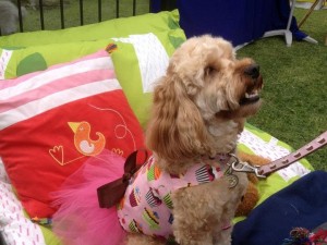 Hanrob Pet Hotels