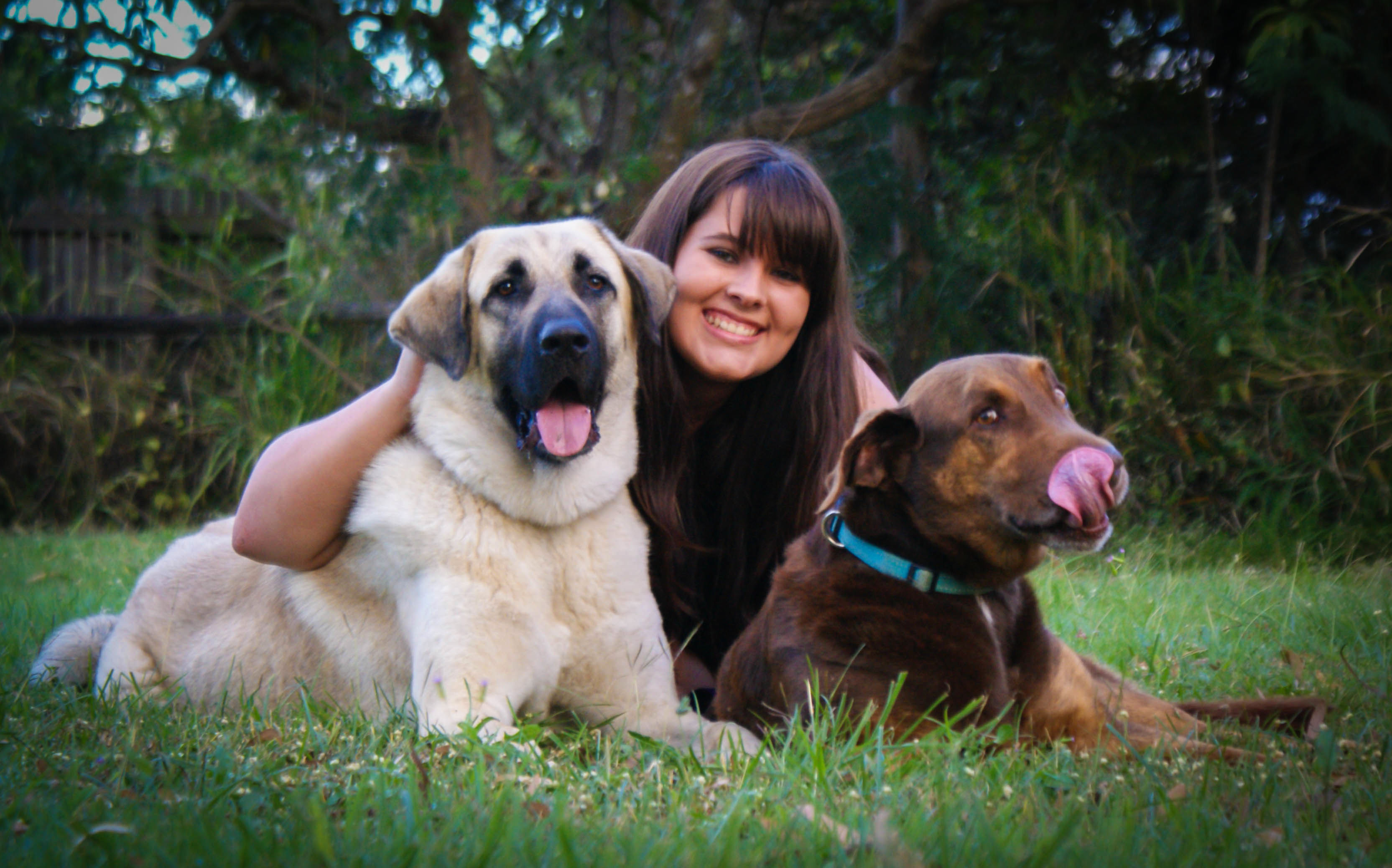 Becoming a pet photographer