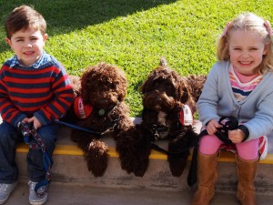 Taloodles Therapy Dogs - Mac Cale, Daisy, Milo and Ava Cale