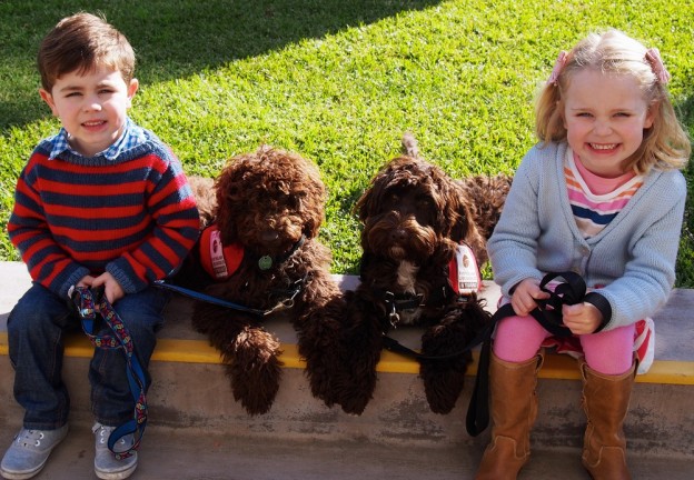 Taloodles Therapy Dogs - Mac Cale, Daisy, Milo and Ava Cale