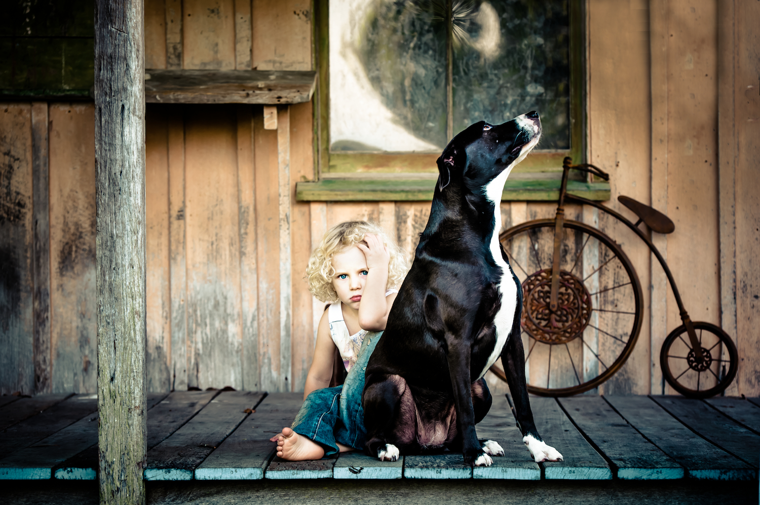 Day in the life of a pet photographer