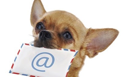dog-with-mail