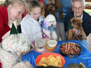 How to throw a dog birthday party