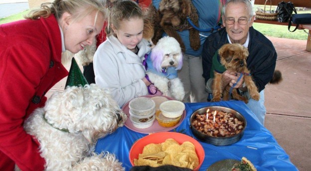 How to throw a dog birthday party