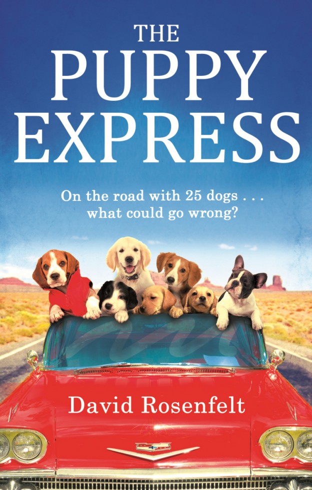 Puppy Express