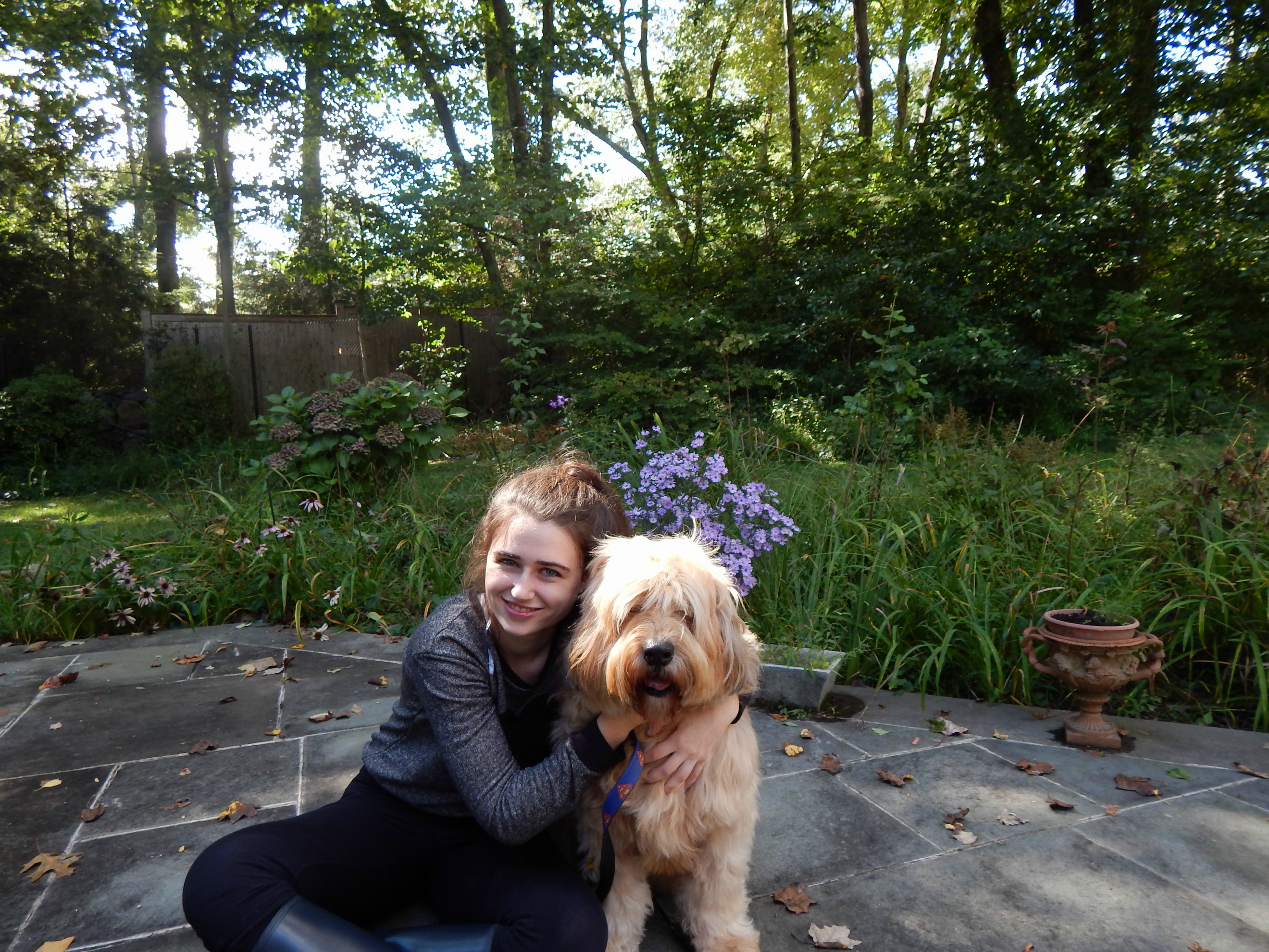 Fighting heartworm disease