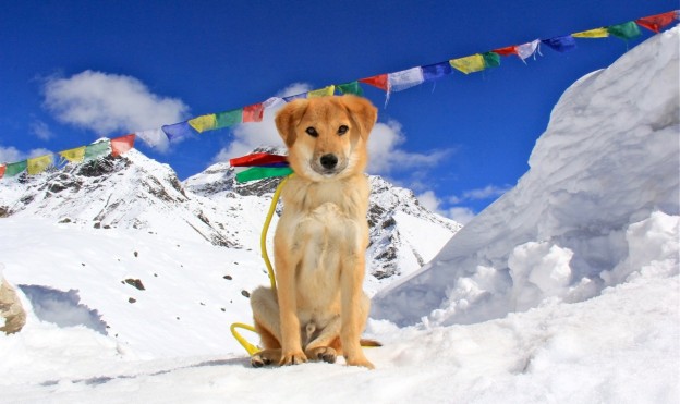 Rupee at Mt Everest