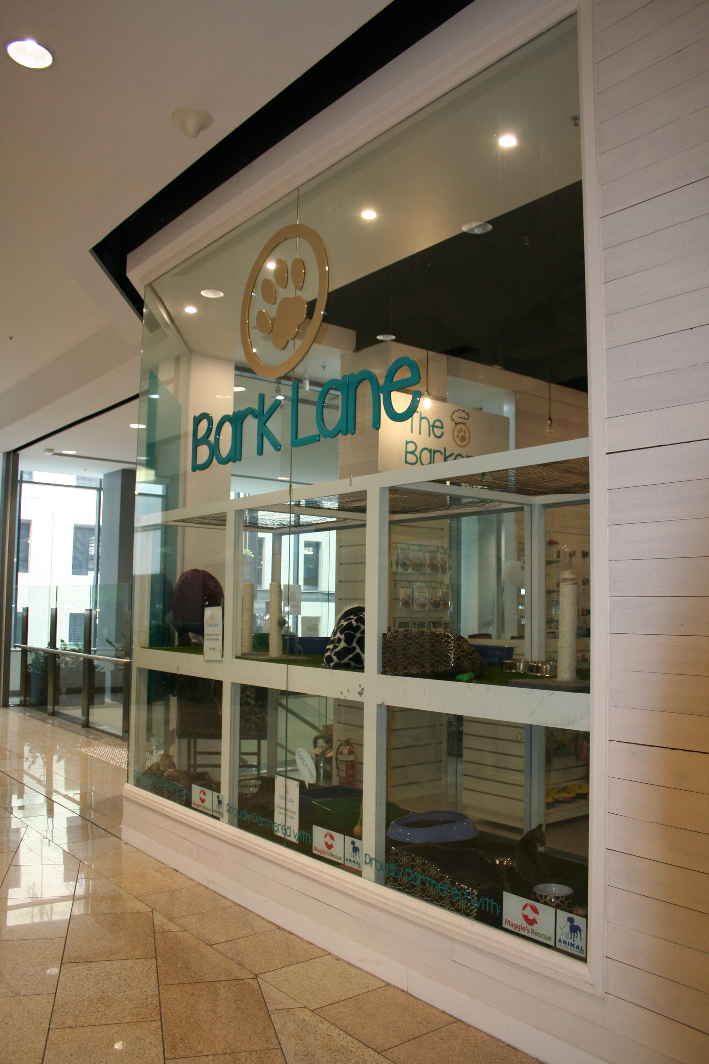 The pet store making a big difference