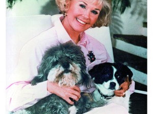 Doris and dogs Biggest and Lovey