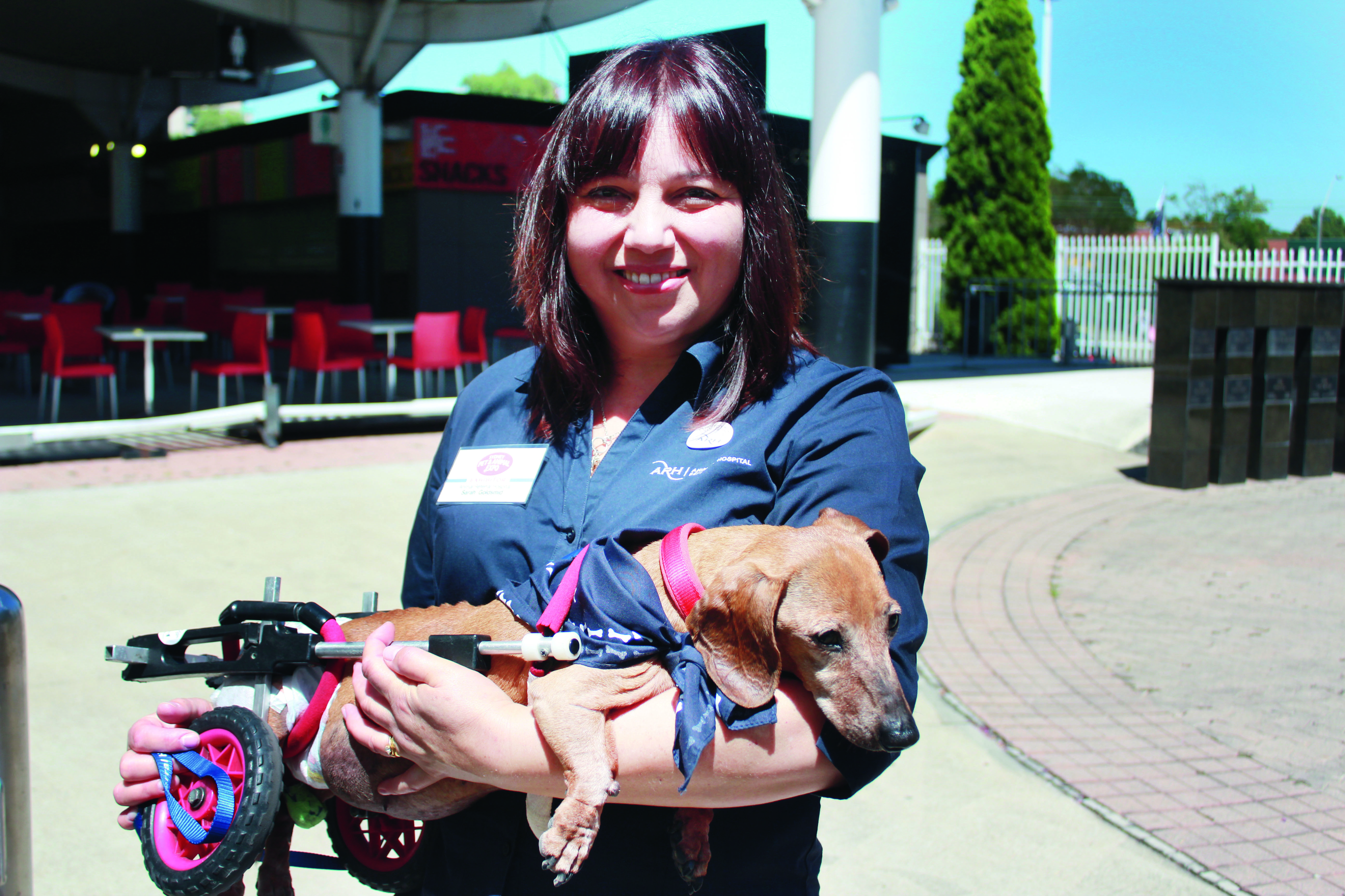 Dogs with disabilities living life to the full