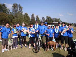 Dogs participate in Walk to d' Feet MND Event