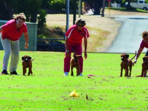 You and your dog will enjoy the lure of the course!