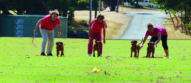 You and your dog will enjoy the lure of the course!