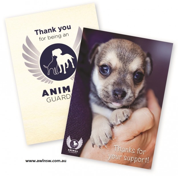Animal Welfare League Xmas Gifts