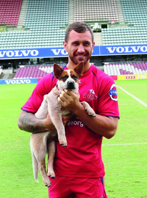 Red Dog with Queensland Rugby Union team member