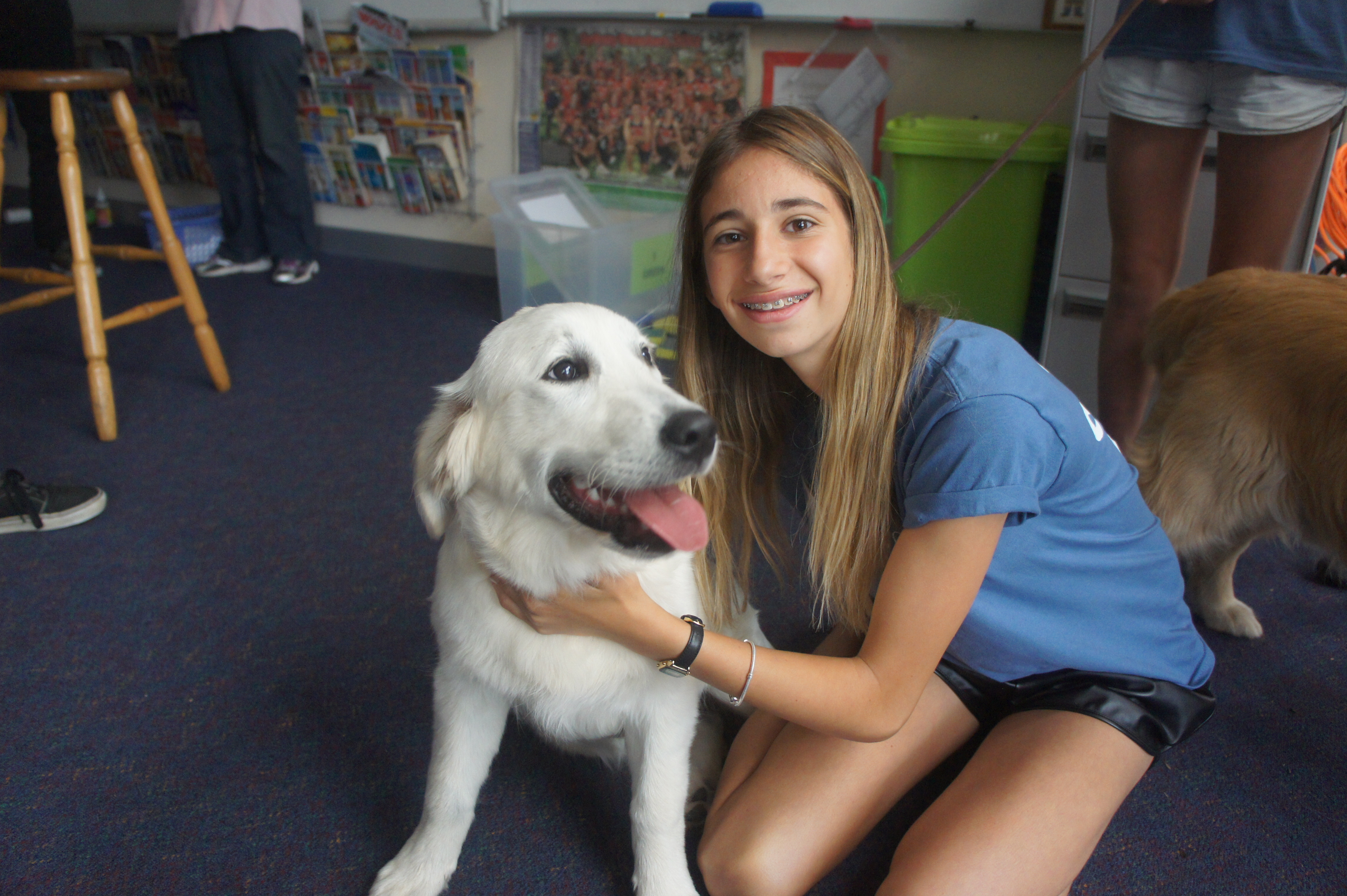 Fourteen-year-old carer opens home to pets in need