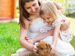 Become a dog foster carer