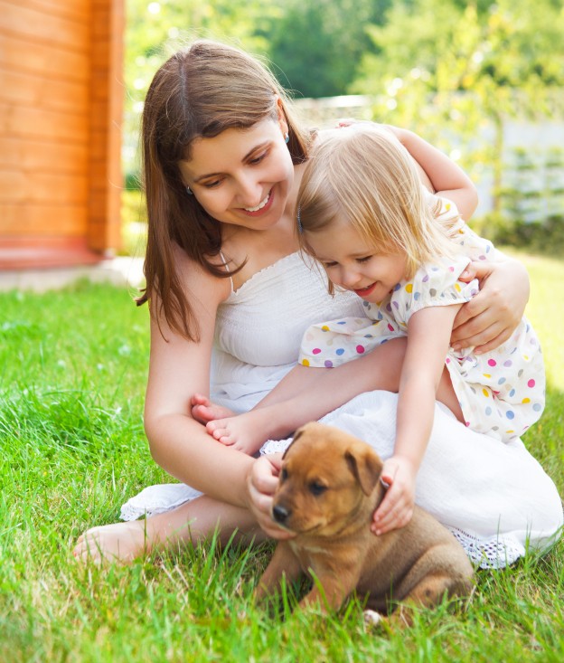 Become a dog foster carer