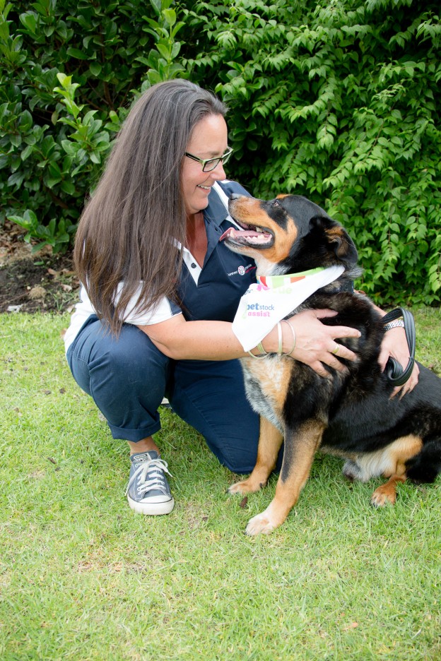 Pet Adoption Day