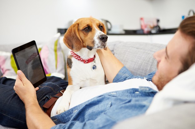 Young Man With Dog Sit On Sofa Using Digital Tablet