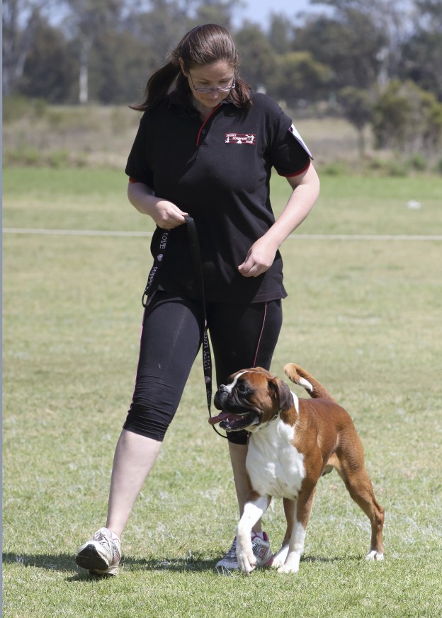 5 common dog training mistakes