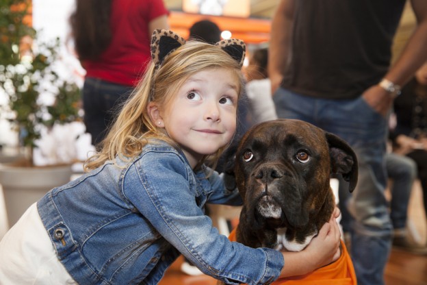 Dog Lovers Show Melbourne 2015